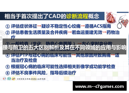 腰与前卫的五大区别解析及其在不同领域的应用与影响