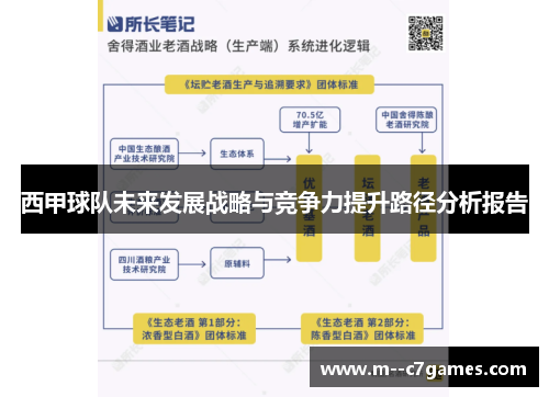 西甲球队未来发展战略与竞争力提升路径分析报告