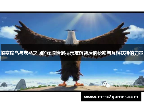 解密魔鸟与老马之间的深厚情谊揭示友谊背后的秘密与互相扶持的力量
