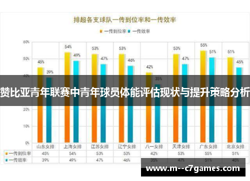 赞比亚青年联赛中青年球员体能评估现状与提升策略分析