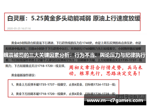 魏震被罚的三大关键因素分析:行为不当、舆论压力与纪律执行 魏震被罚的三大关键因素分析:行为不当、舆论压力与纪律执行