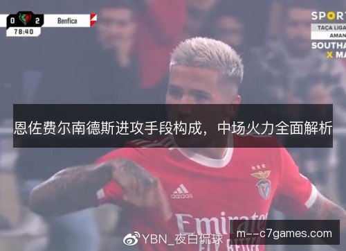 恩佐费尔南德斯进攻手段构成，中场火力全面解析